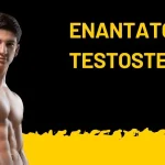 Enantato de Testosterona ou Cipionato: Qual é a Melhor Escolha?