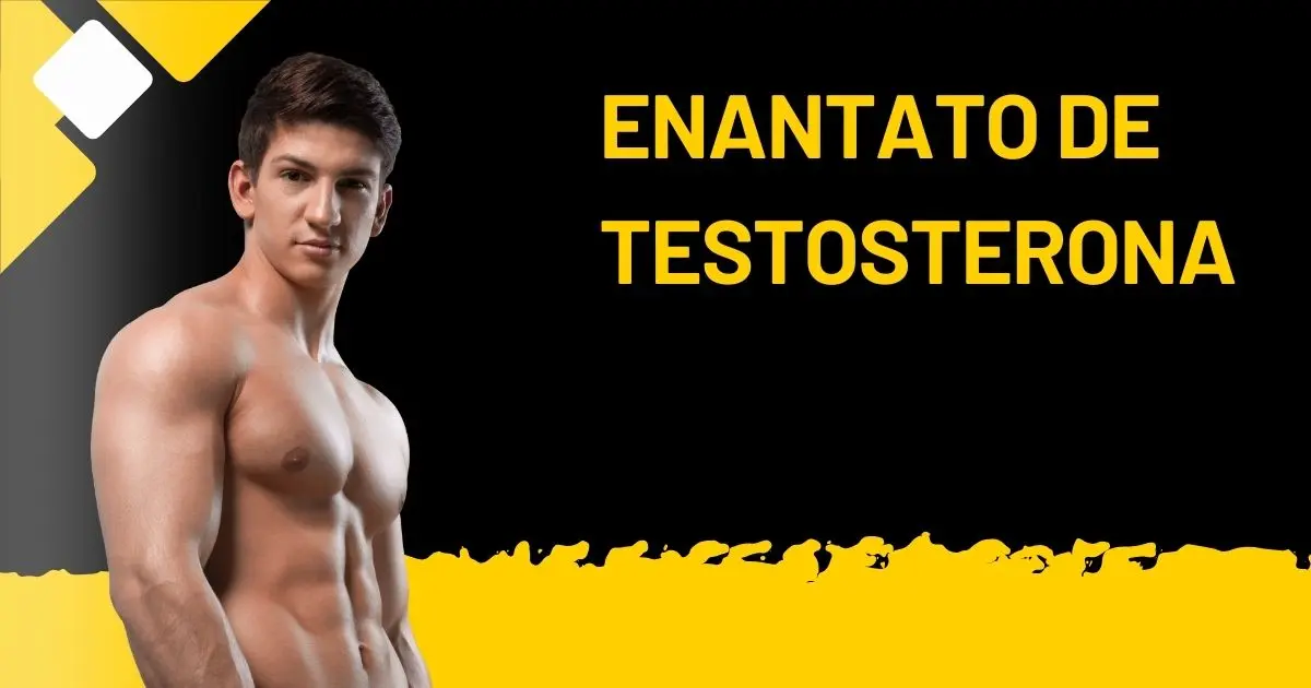 Enantato de Testosterona ou Cipionato: Qual é a Melhor Escolha?